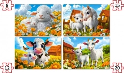 Castorland puzzel liefhebbende dieren 4-in-1 (8, 12, 15, 20 stukjes)