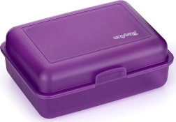 Purple lunch box for kids