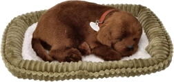 Pluchen snurkend puppy – chocoladekleurige labrador op een mandje