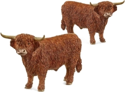 Stier van het hoogland