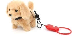 Leashed Puppy with Sounds