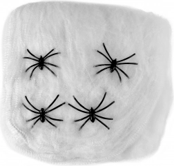 Decoratie Spinnenweb met Spinnen