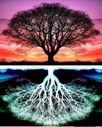 Diamantschilderen Boom 30x40 cm