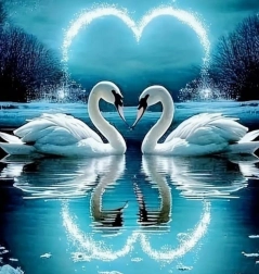 Diamond Painting Loving Swans 30 × 40 cm NORIMPEX