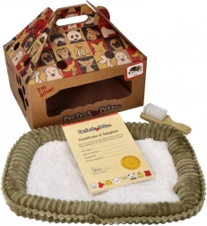 Perfect Petzzz ademende Berner Sennenhond ter adoptie