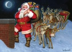 Puzzle On the Roof 500 pieces