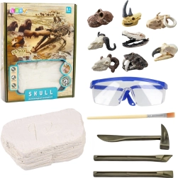 Archaeology Skull Excavation Set for Kids