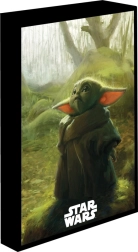 Lichtgevend LED-schilderij 30 × 40 cm STAR WARS