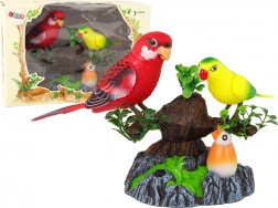 Singing Moving Parrots on a Colorful Tree