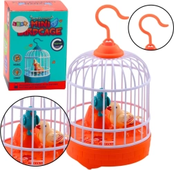 Singing Birds in a Cage – Orange, Light and Sound