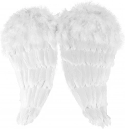 Engelenvleugels met veren