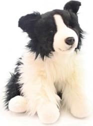 Border collie en peluche 35 cm