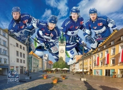 Puzzle STRAUBING TIGERS 1000 stukjes van EUROGRAPHICS