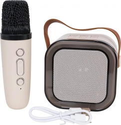 Karaoke-set met draadloze microfoon en draagbare Bluetooth-luidspreker met RGB