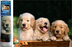 Diamond Mosaic - Three Dogs