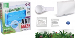 Ant Farm with Nutrient Gel