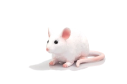 Figurine de souris Mojo