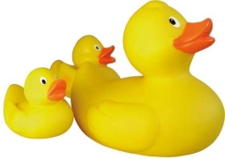 Lena Duck Family