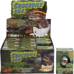 Œuf avec crocodile grandissant dans l’eau