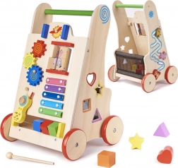 Wooden Walker and Educational Cube 6-in-1