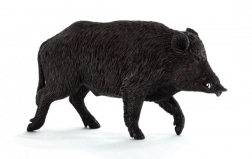 Animal Planet Figur Wildschwein – realistisches Modell für Kinder und Sammler