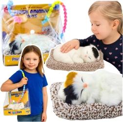 Sleeping kitten on a pillow with soft fur and meowing sounds in a portable bag