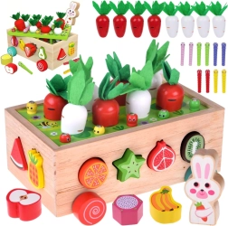 Houten Montessori tuinkarretje met worteloogst, vormen en magnetische wormpjes