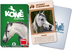 Kwartet Paarden DINO