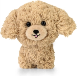 TEDDY PETS Plush Toy – Golden Poodle