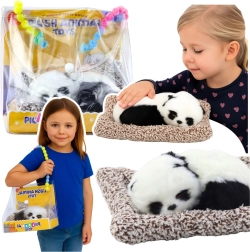 Sleeping panda on a pillow with soft fur in a transparent bag