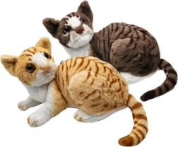 Pluchen katje Lara 28 cm