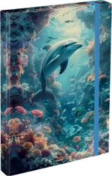 Folders for School Notebooks A4 Dolphin