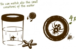 Navir Explora grote beker voor het observeren van insecten