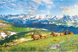Deer in the Mountains Puzzle 1000 pieces EUROGRAPHICS
