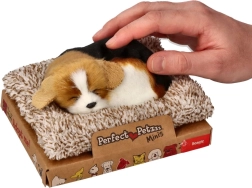 Beagle aboyant sur un coussin