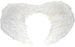 Grandes ailes d’ange