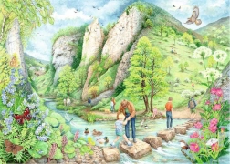 Dovedale Walk Puzzle 1000 Pieces