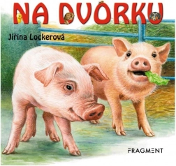 Kartonboekje Na dvorku