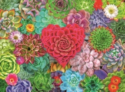 Succulent Paradise Puzzle 500 Pieces