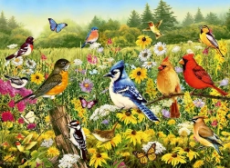 Ravensburger puzzle Bird Meadow 500 pieces