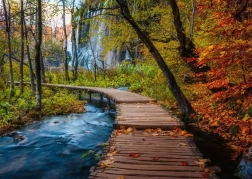 Puzzle RAVENSBURGER Forêt mystérieuse 1000 pièces