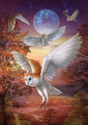 Puzzle Night Owls 1000 Pieces ART PUZZLE