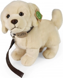 Plush Dog Golden Retriever with Leash 25 cm