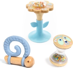 DJECO cadeauset met rammelaars en bijtringen voor baby’s