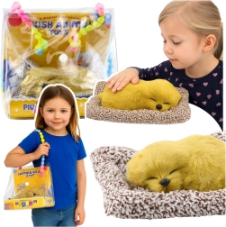 Sleeping Labrador on a cushion with soft fur and sounds