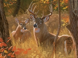 Puzzle Secret Meeting XL 275 pieces COBBLE HILL