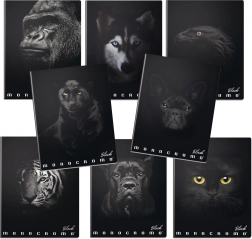 Školní sešit A4 Monocromo zwart