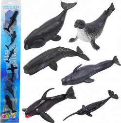 Set of Marine Mammal Figures