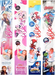 Ready2Fly vlieger – kindervlieger