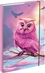 Mappen voor schoolschriftjes A4 met uilenmotief BAAGL